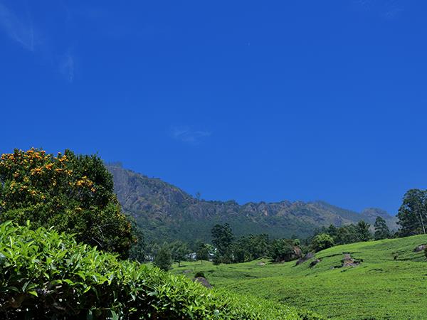 Western Ghats mountain biking holidays, Southern India