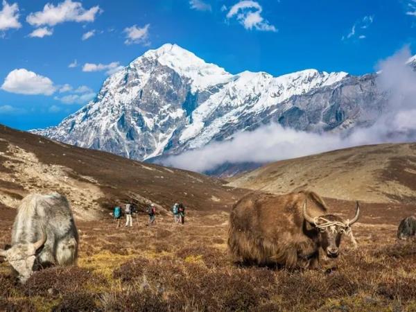 Sikkim trekking holiday, India