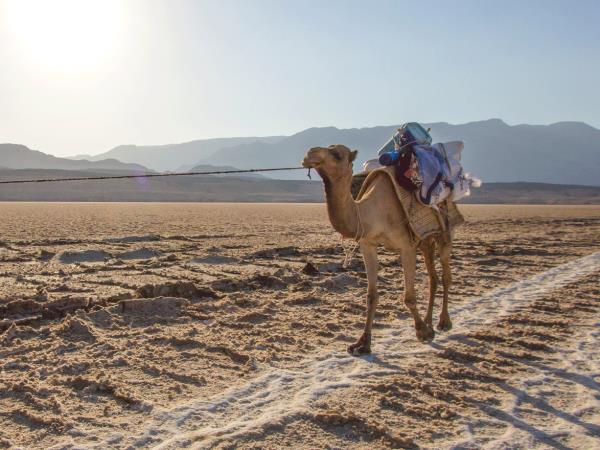 Ethiopia & Djibouti holiday, Danakil Depression