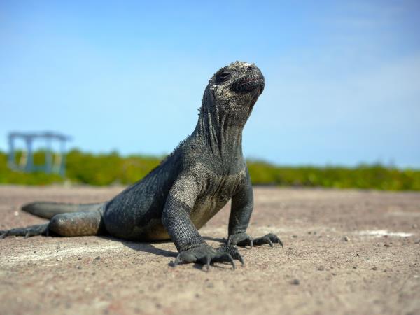 Galapagos south and east islands cruise