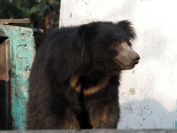 Golden Triangle with Ranthambhore, homestay tour