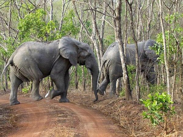 Ghana tour, slave route