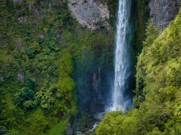 Java & Sumatra tailor made holiday