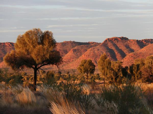 Australia holidays, tailor made