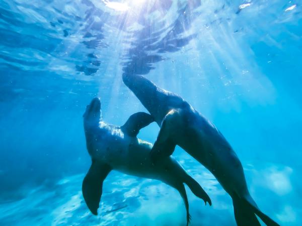 Australia holidays, tailor made