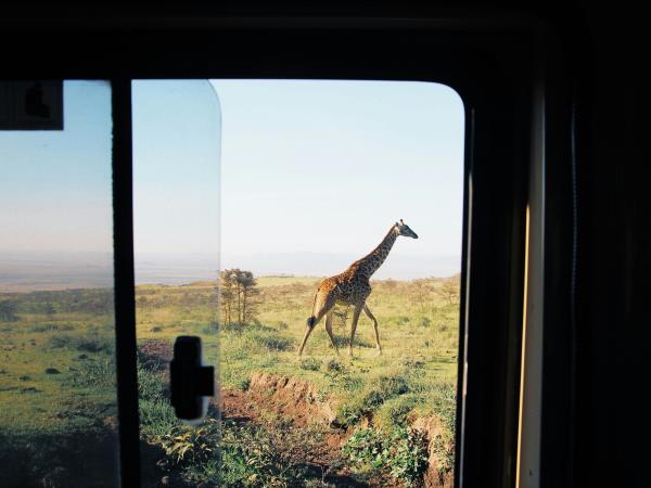 Classic South Africa self drive holiday