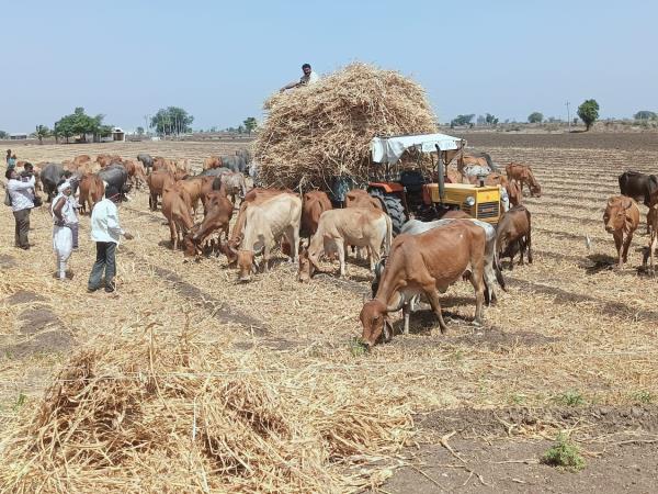 Gujarat uncovered tailor made tour