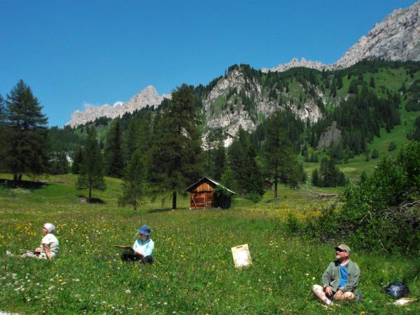 Dolomites painting holiday in Italy