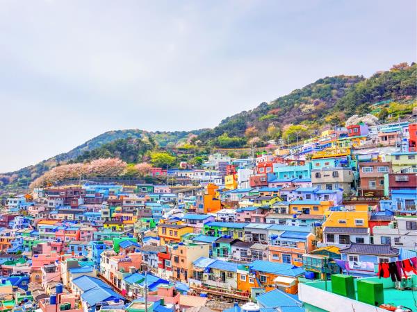 South Korea cultural tour