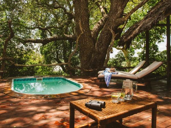 Southern Tanzania and Mafia Island holiday