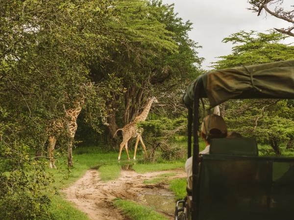 Southern Tanzania and Mafia Island holiday