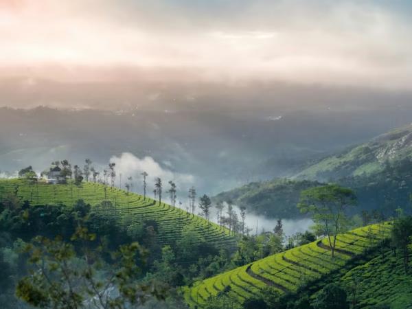 Kerala luxury small group adventure