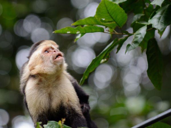 Costa Rica family holiday for all ages