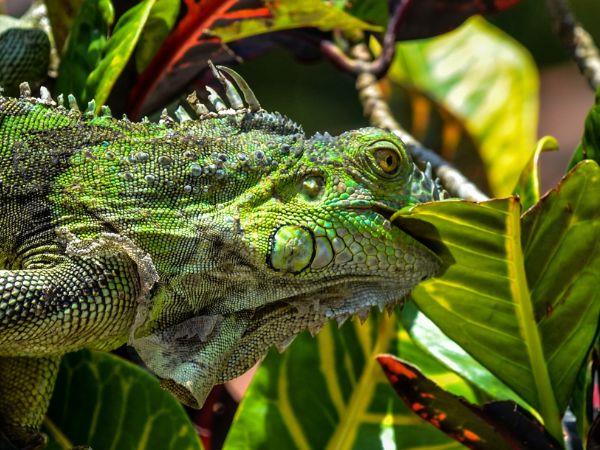 Costa Rica family holiday for all ages