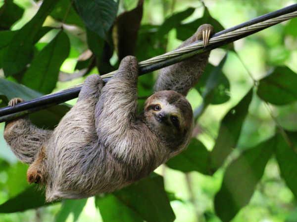 Costa Rica family holiday for all ages