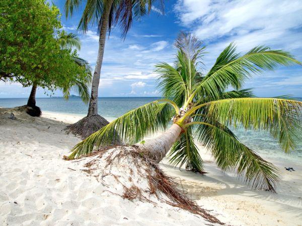 Borneo family holiday for all ages