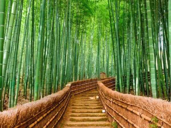 Japan family holiday for all ages