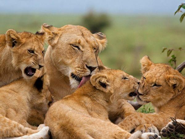 Tanzania family holiday for all ages