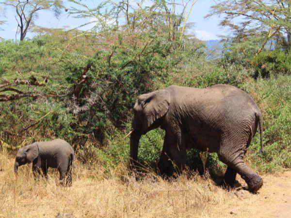 Tanzania family holiday for all ages