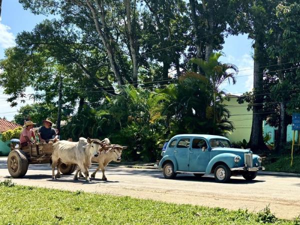 Cuba holiday, 22 days