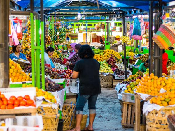 Highlights of Sumatra small group holiday