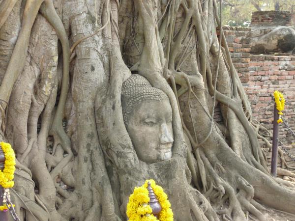 Cultural immersion holiday in Thailand