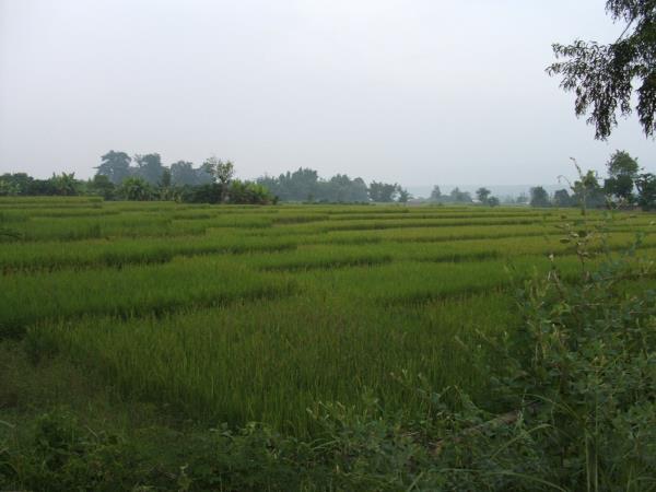Cultural immersion holiday in Thailand