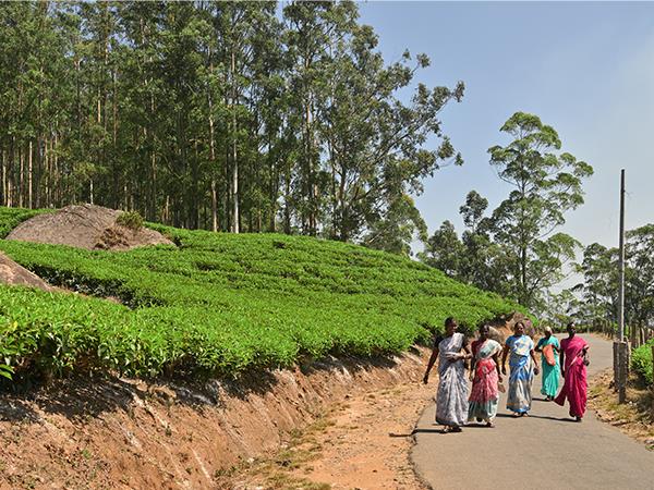 Kerala Hike, bike & kayak in India
