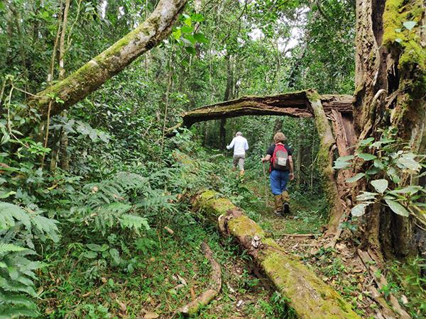 Kerala Hike, bike & kayak in India