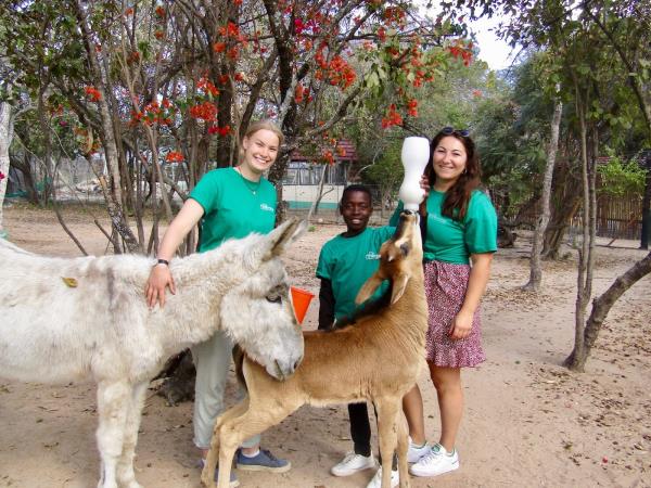 Volunteer with children & animals in South Africa