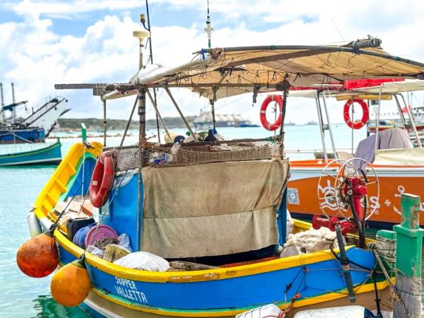 Malta and Gozo history tour