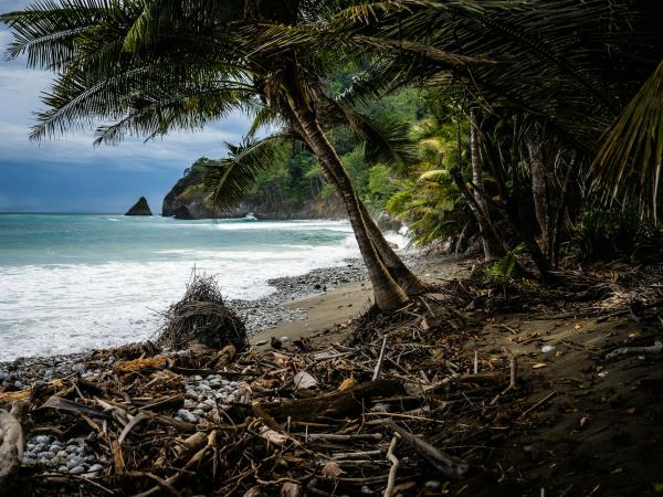 Wild heart of Costa Rica holiday