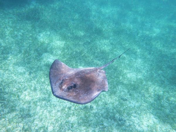 Belize holidays, tailor made 