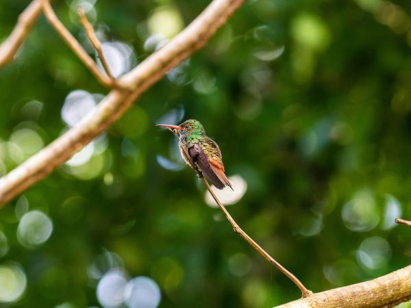 Belize holidays, tailor made 
