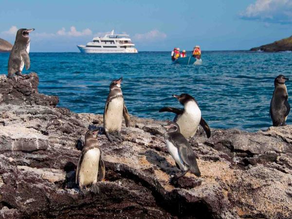 Galapagos Western Islands luxury cruise