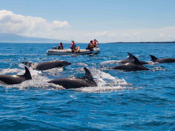 Galapagos Western Islands luxury cruise