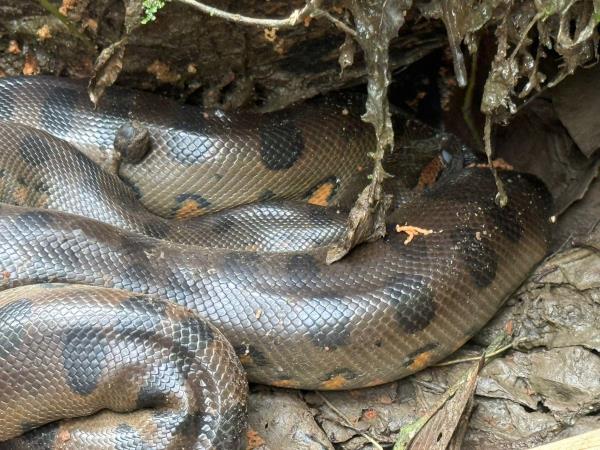 Ecuador adventure holiday, tailor made 