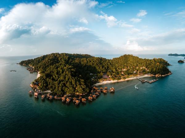 Peninsular Malaysia birdwatching holiday