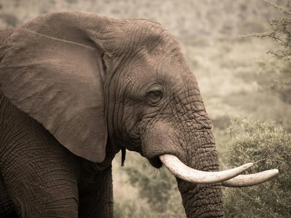 Kwa Zulu Natal self drive South Africa holiday