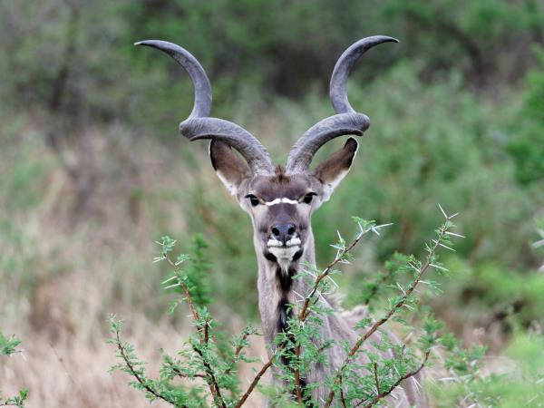 Kwa Zulu Natal self drive South Africa holiday