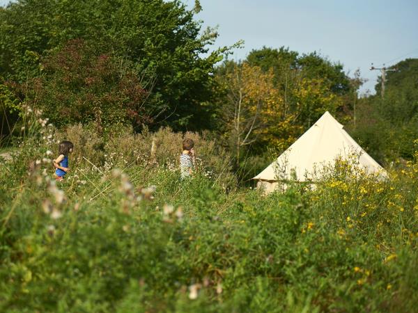 The Secret Campsite in the South Downs, England