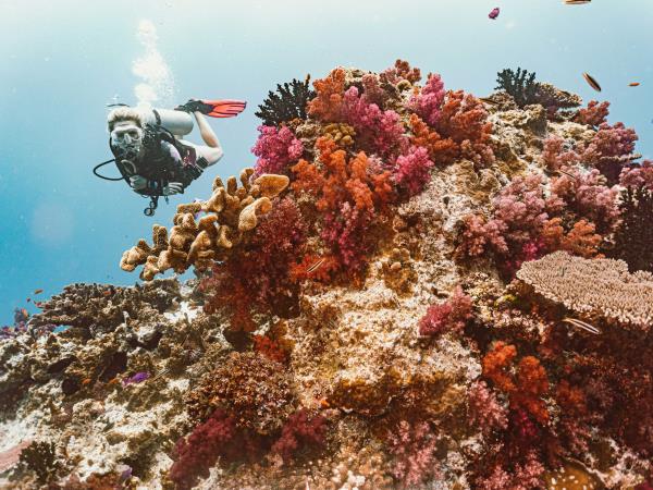 Fiji holidays, island hopping tour