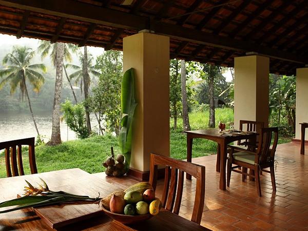 Luxury Kerala birding & nature tour