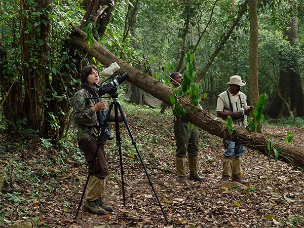Luxury Kerala birding & nature tour