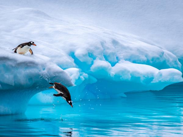 Antarctic Peninsula expedition cruise, 11 days