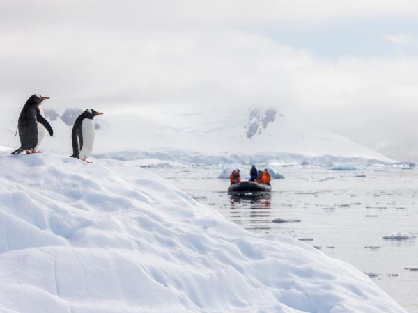 Antarctic Peninsula expedition cruise, 11 days