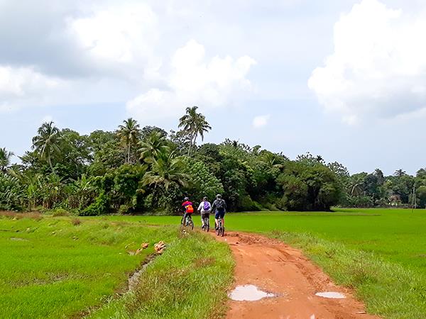 Kerala houseboat and bike tour, India