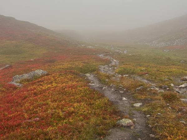 Autumn in Lapland walking holiday, small group