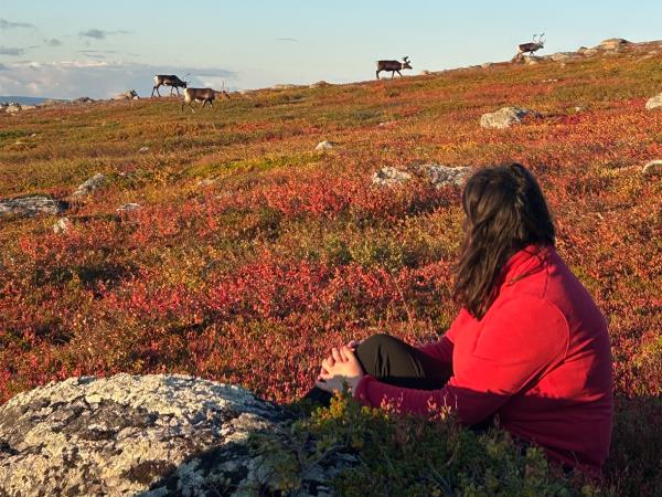 Autumn in Lapland walking holiday, small group