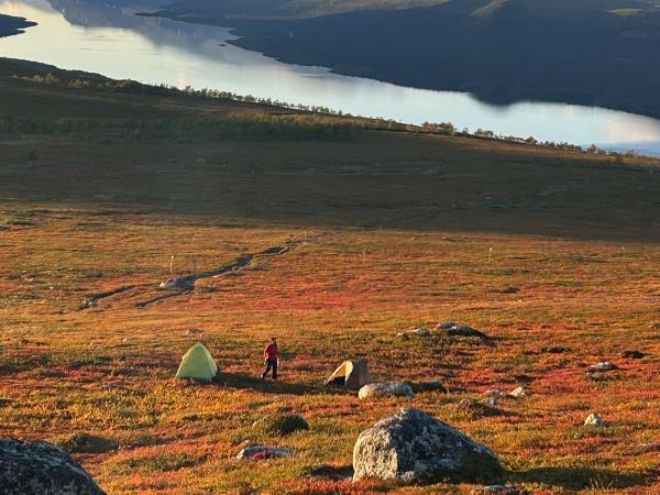 Autumn in Lapland walking holiday, small group